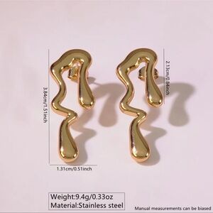 Gold Stainless Steel Earrings